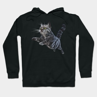 large Siberian fluffy cat Hoodie